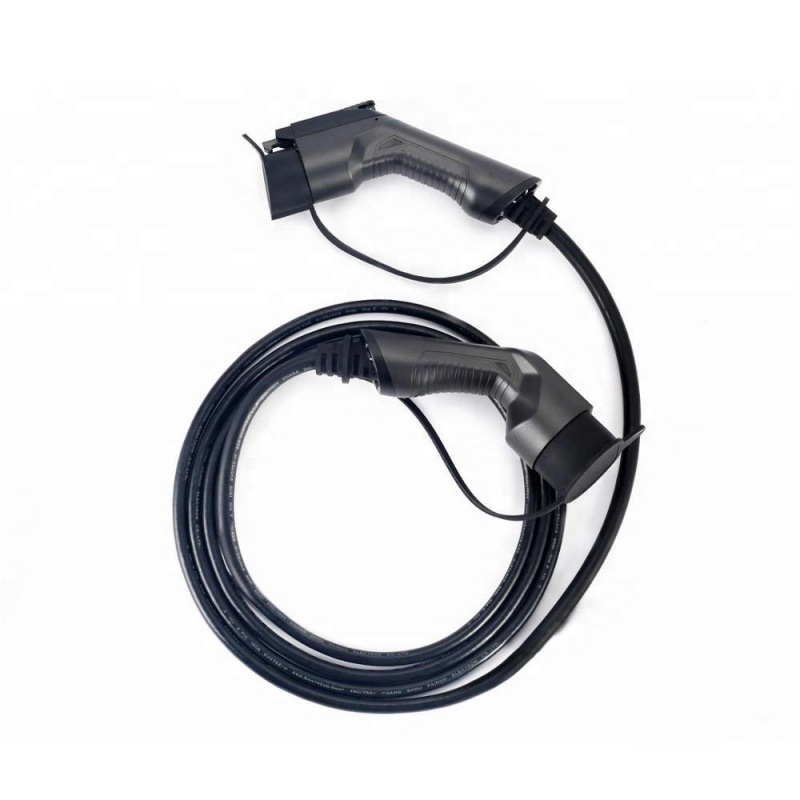 CARPLUG Câble de recharge Noir - Type 2 - Type 1 - 5m - 7,4kW (1